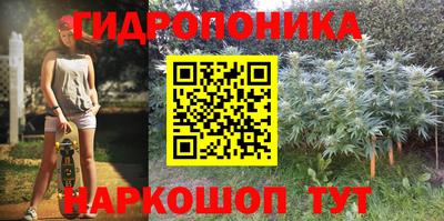 apvp Нарткала