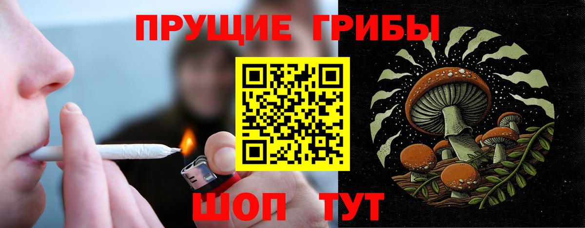 Галлюциногенные грибы ЛСД  Вход с VPN  Горно-Алтайск 